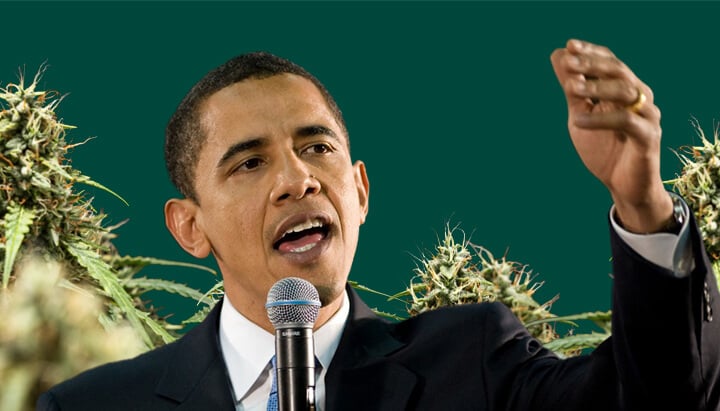 A portrait of Barack Obama speaking into a microphone with his hand raised, set against a green background featuring cannabis plants.