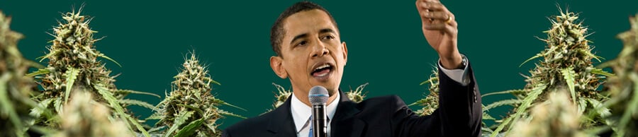 A portrait of Barack Obama speaking into a microphone with his hand raised, set against a green background featuring cannabis plants.