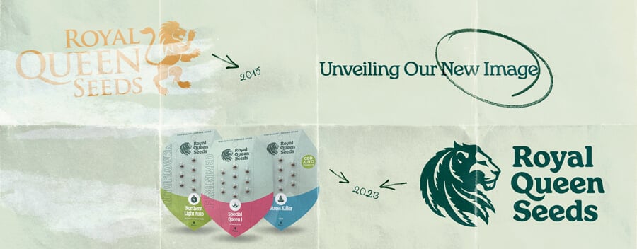 Evolution of the Royal Queen Seeds logo from 2015 to 2024, showcasing the original gold logo with a lion and the updated green logo with a modern lion design. The image also features the company's new seed packaging.