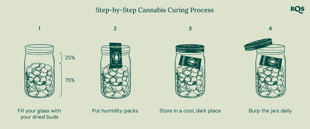 Cannabis curing process