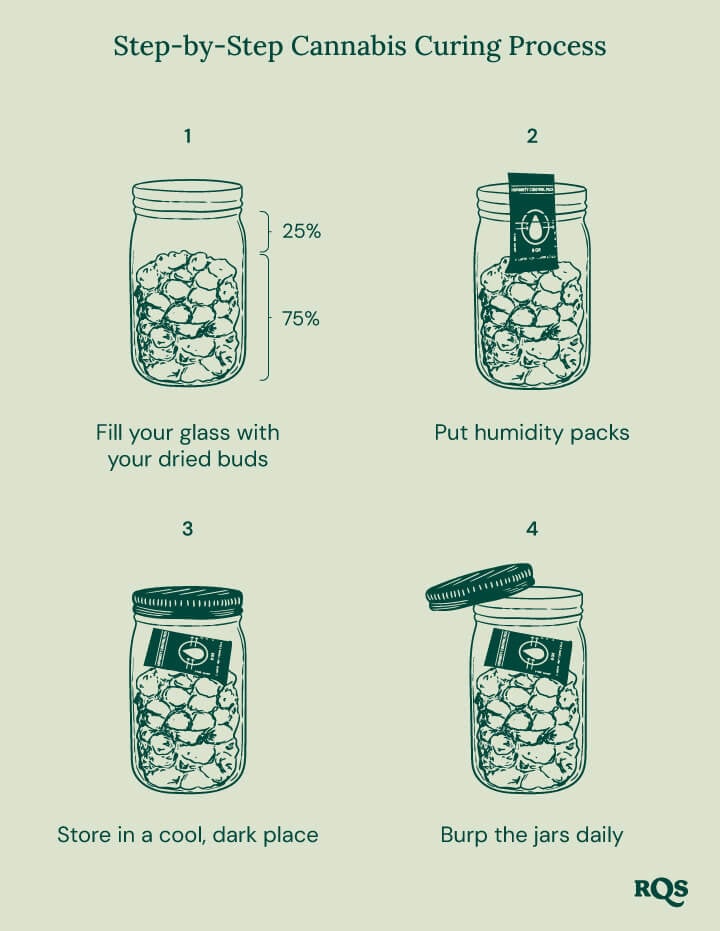 Cannabis curing process