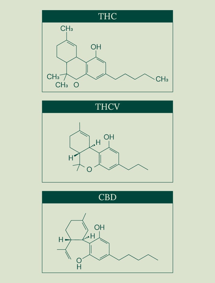 Image showing the chemical structures of three cannabinoids: THC, THCV, and CBD. Each compound is displayed in a separate box with its name at the top.