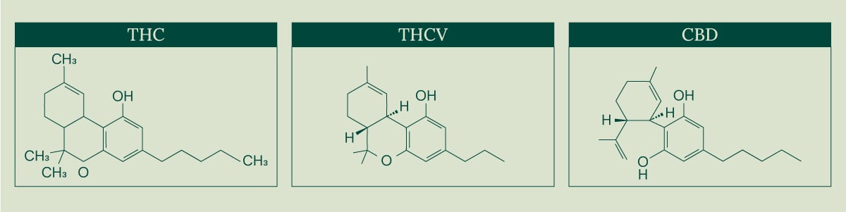 Image showing the chemical structures of three cannabinoids: THC, THCV, and CBD. Each compound is displayed in a separate box with its name at the top.