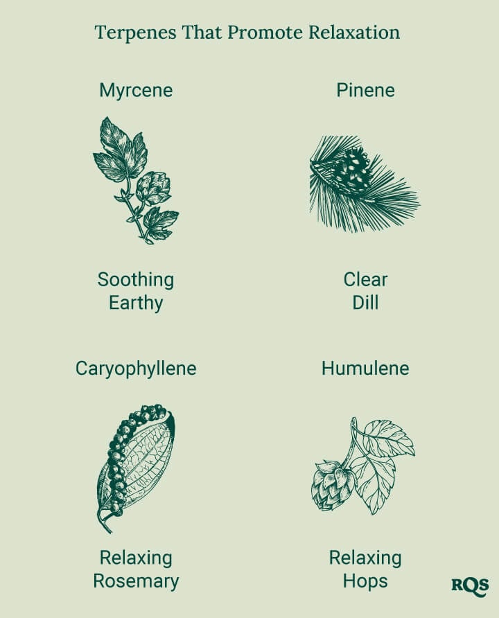 A diagram showcasing relaxing terpenes, including Myrcene, Pinene, Caryophyllene, and Humulene, listed alphabetically with images of their source plants, highlighting their calming effects.