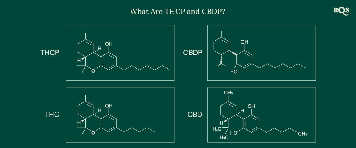 Chemical structures of four cannabinoids: THCP, CBDP, THC, and CBD, including the newly discovered THCP and CBDP.