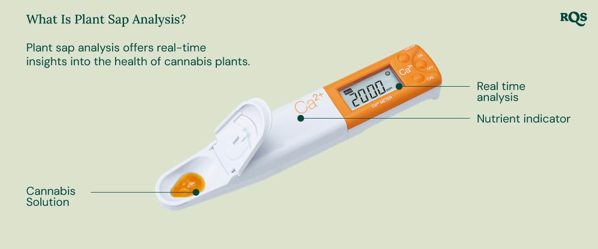 A white Plant Sap Analyzer with a yellow scoop is used to measure nutrient levels in a cannabis plant. The device analyzes calcium, magnesium, and potassium levels, helping growers optimize plant nutrition and health.