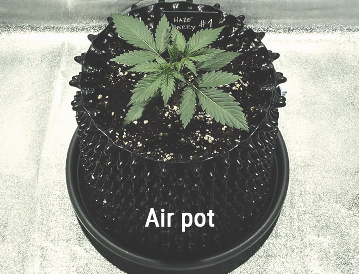 Superoots Air-Pot Air Pruning Garden Containers Product Review  