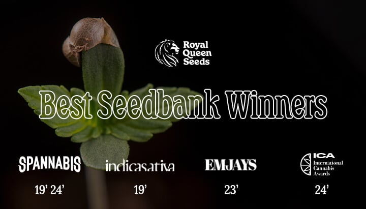 Best seedbank