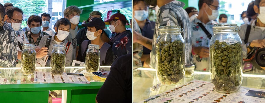 Glass jars filled with cannabis buds. Depicts how cannabis presentation has changed with legalization, reflecting packaging evolution.