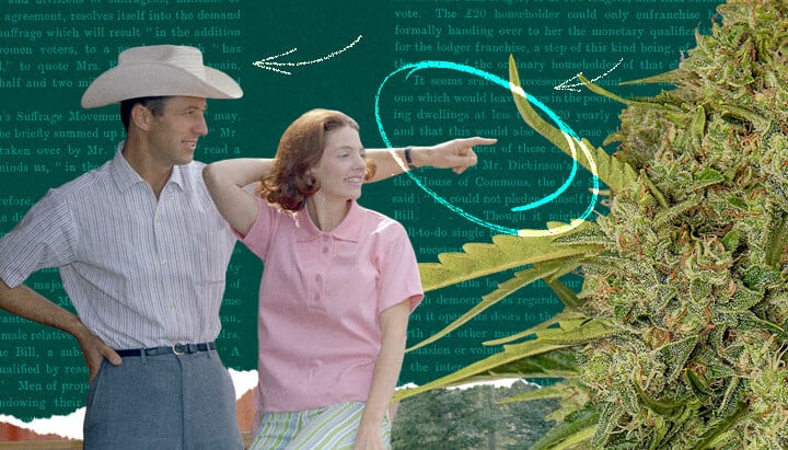 A man and woman looking a healthy cannabis plant with vibrant green leaves