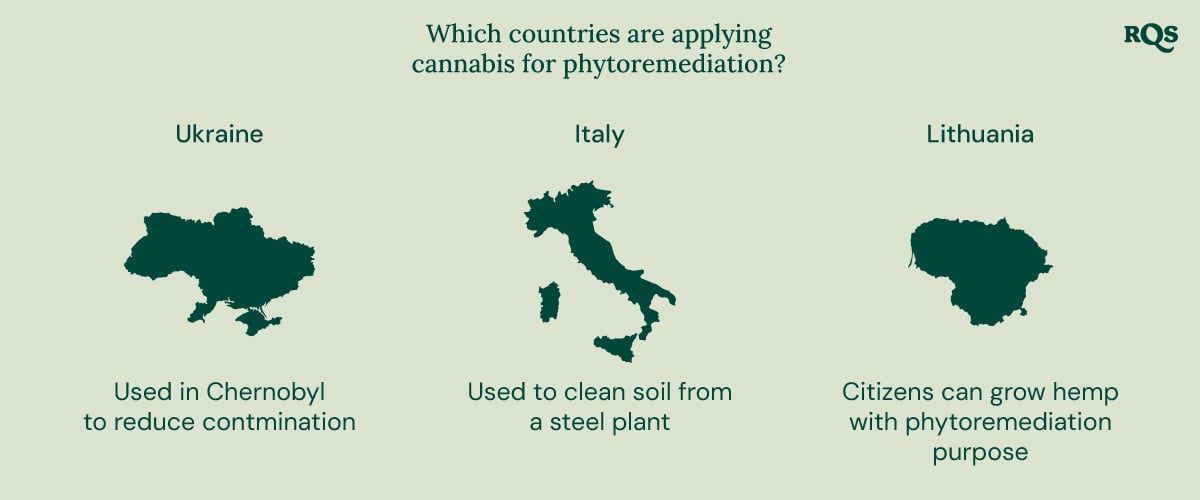 Infographic of countries using cannabis for phytoremediation: Ukraine (Chernobyl), Italy (steel plant), and Lithuania (hemp growth).