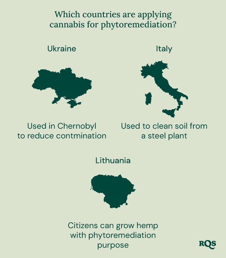 Infographic of countries using cannabis for phytoremediation: Ukraine (Chernobyl), Italy (steel plant), and Lithuania (hemp growth).