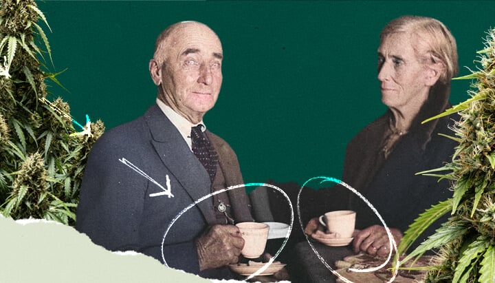 Couple drinking cannabis tea