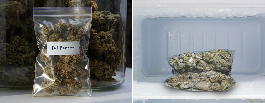 Two images showcasing cannabis storage. On the left, a clear bag labeled 