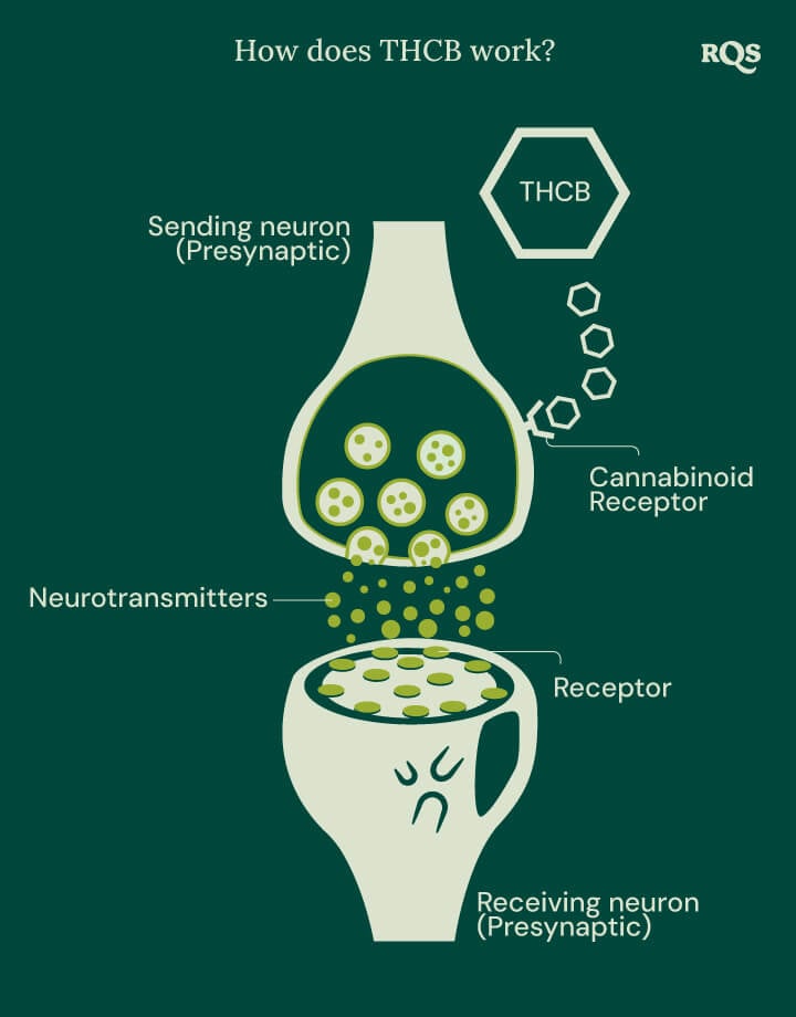 How does THCB work