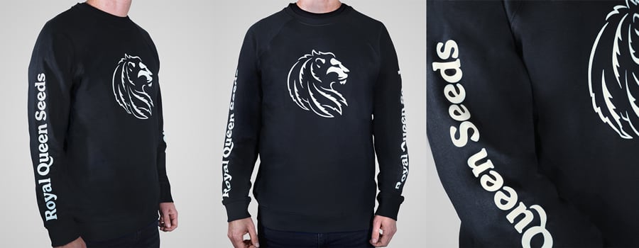 Black sweatshirt with a white lion head logo on the chest and 'Royal Queen Seeds' text on the sleeves.