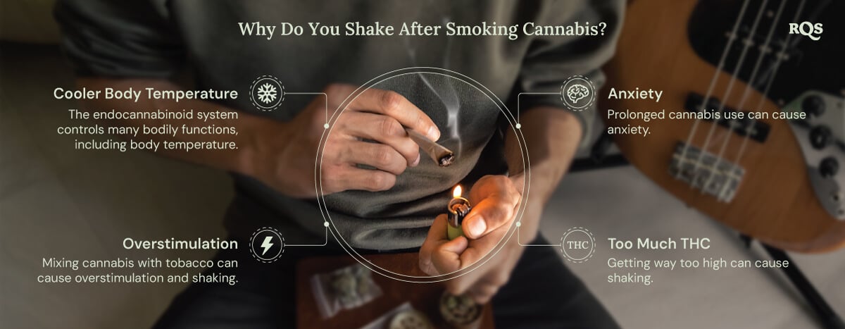 A detailed graphic showcasing the potential side effects of cannabis use. Informative visuals explaining how factors like THC levels, anxiety, and body temperature contribute to these physical reactions.